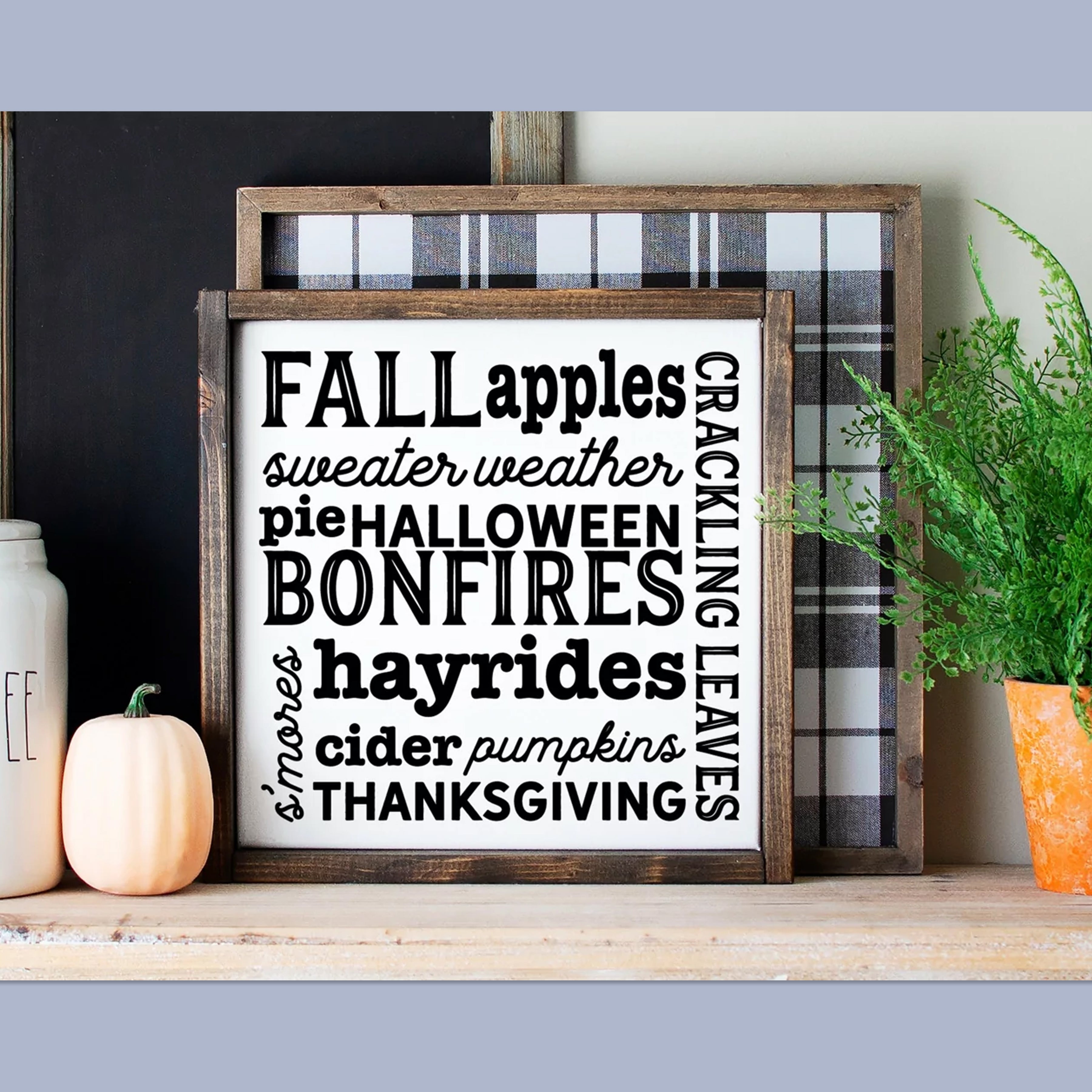 Fall Collection