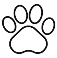 Animal Lover?